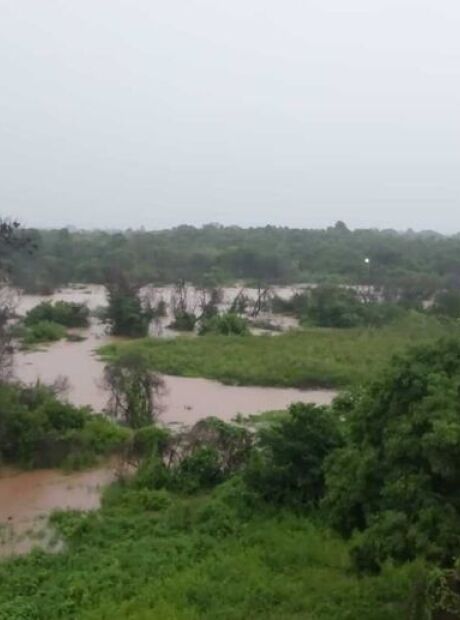 Rio Aquidauana passa da cota de emerg&ecirc;ncia e eleva risco de alagamentos em MS