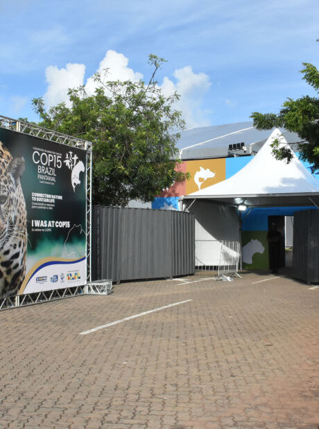 &Ocirc;nibus exclusivos v&atilde;o ligar hot&eacute;is ao Bosque dos Ip&ecirc;s durante a COP15