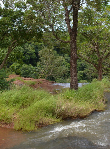 Corpo de mulher com tiro na cabe&ccedil;a &eacute; desovado no Inferninho