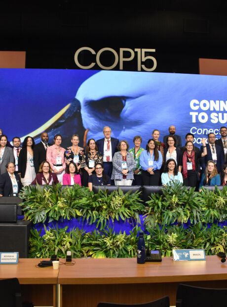 COP15 arrecada R$ 36,6 milh&otilde;es e Estado pleiteia fatia para investir no Pantanal