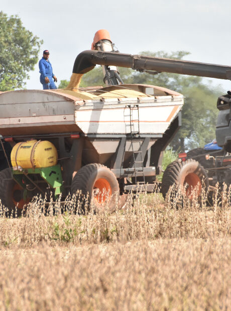 Queda na produ&ccedil;&atilde;o de gr&atilde;os puxa o PIB de MS para baixo