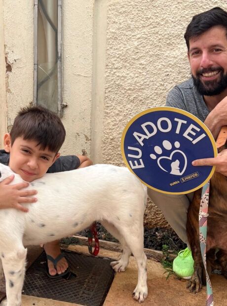 Feira de ado&ccedil;&atilde;o tem c&atilde;es adultos &agrave; espera de um lar neste domingo (8)