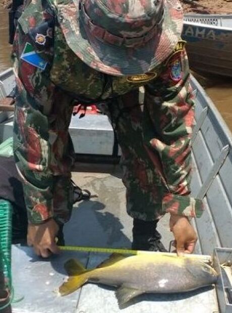 Piracema termina e pesca est&aacute; liberada em rios de Mato Grosso do Sul