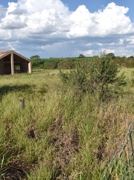 MPMS cobra a&ccedil;&atilde;o da prefeitura sobre abandono de nascente