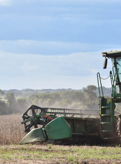 MS registra 3&ordm; melhor m&ecirc;s da hist&oacute;ria em exporta&ccedil;&otilde;es
