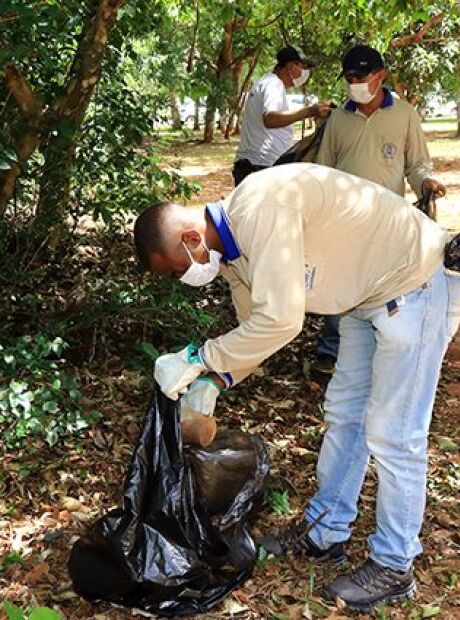 Somente 5 munic&iacute;pios de MS n&atilde;o registraram casos de chikungunya