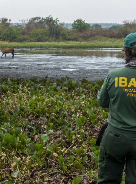 Fiscaliza&ccedil;&otilde;es contra inc&ecirc;ndios no Pantanal s&atilde;o intensificadas em MS