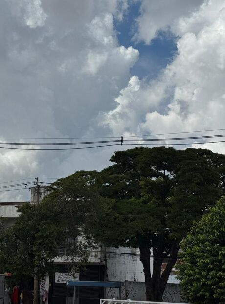 Temperatura despenca e MS pode ter o dia mais frio do m&ecirc;s