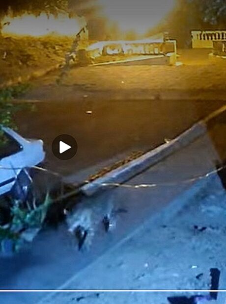 &Oacute;rg&atilde;os ambientais e pesquisadores iniciam opera&ccedil;&atilde;o de captura de on&ccedil;a
