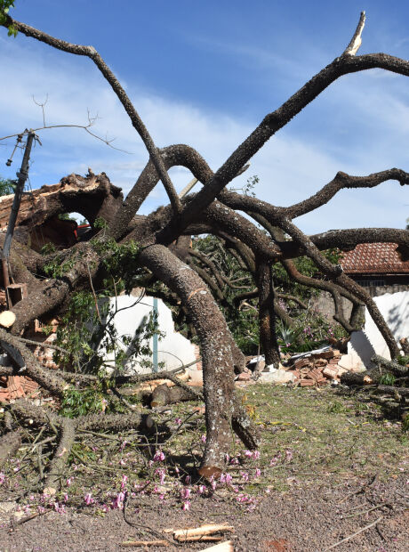 Ventania &eacute; o primeiro sinal da chegada da frente fria a MS