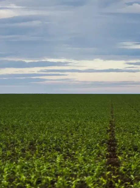 Fazenda estuda Fundo Garantidor para d&iacute;vidas rurais