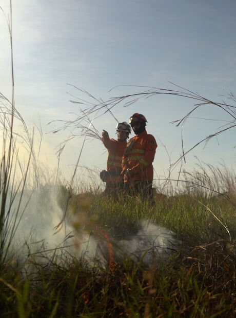 Sistema inteligente para prevenir queimadas no Pantanal &eacute; tema de capacita&ccedil;&atilde;o