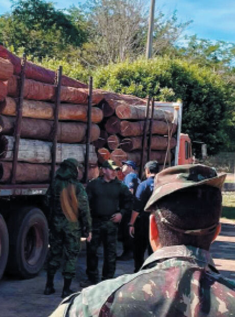 Apreens&atilde;o recorde de coca&iacute;na teria como destino os EUA