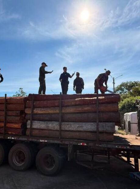 PF rastreia transportadoras ap&oacute;s apreens&atilde;o de at&eacute; 50 toneladas de coca&iacute;na