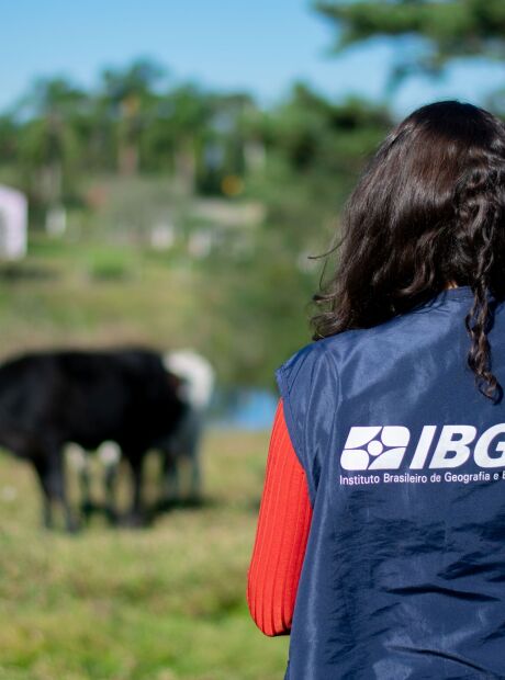 Quais capitais mais cresceram no Brasil? Veja nova lista do IBGE