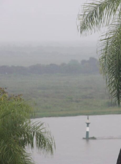 Pantanal registra at&eacute; 49 mil&iacute;metros e adia per&iacute;odo de estiagem