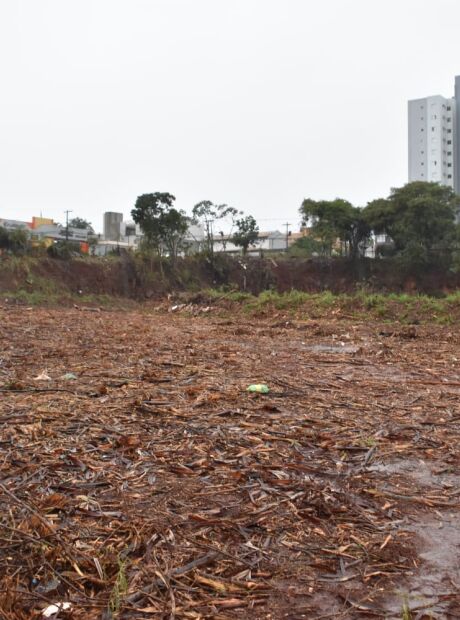 Alvo de den&uacute;ncias por 'abandono', terreno da pedreira antiga aparece limpo