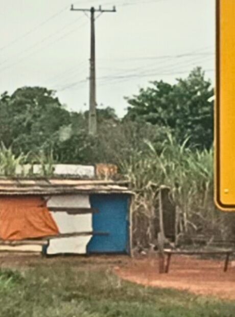 MPMS apura ocupa&ccedil;&otilde;es &agrave;s margens da MS-141 por riscos &agrave; seguran&ccedil;a vi&aacute;ria