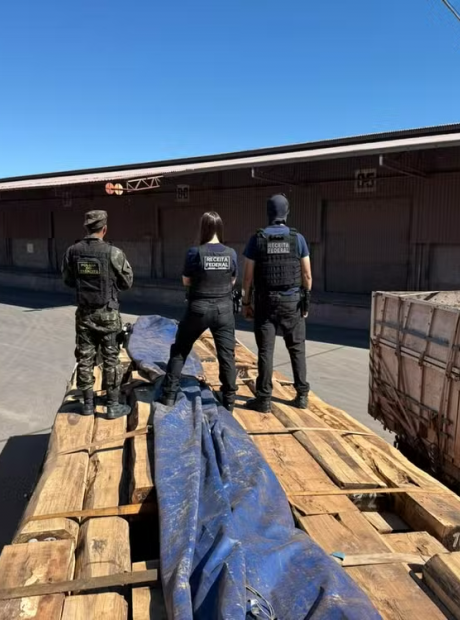 Receita quer 2&ordm; laudo para liberar carga de madeira que teria coca&iacute;na