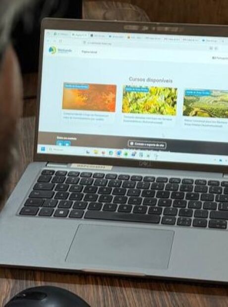 Plataforma d&aacute; cursos gratuitos de 'como cuidar do Pantanal'