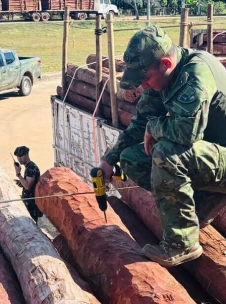Ap&oacute;s laudo descartar coca&iacute;na, defesa de transportadora pede libera&ccedil;&atilde;o de carretas em MS