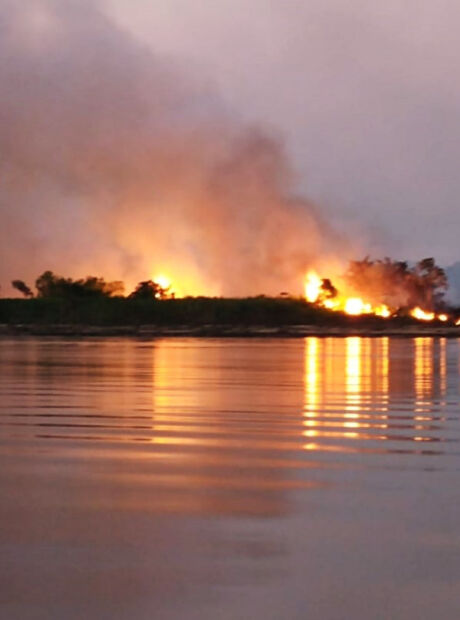 Inc&ecirc;ndio est&aacute; controlado no Pantanal, mas ativo, afirmam bombeiros
