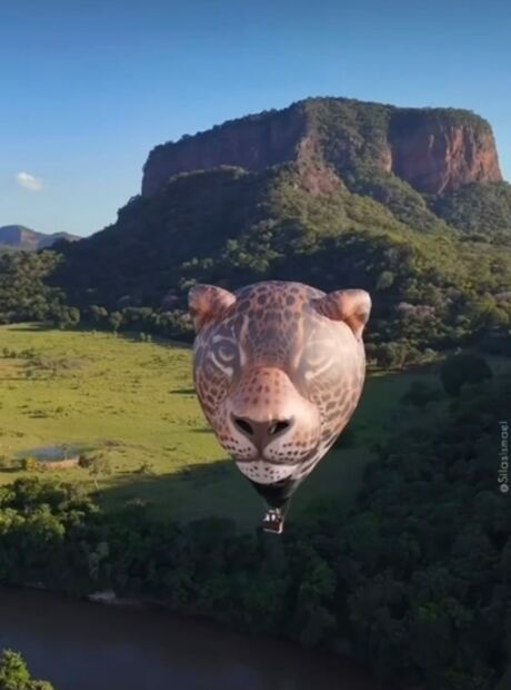 Bal&atilde;o em formato de on&ccedil;a-pintada estreia no c&eacute;u do Pantanal de MS