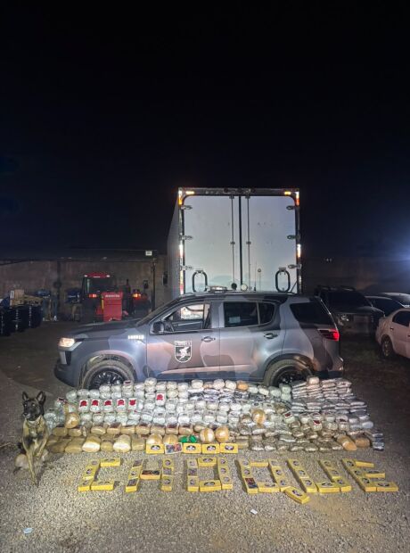 C&atilde;o farejador do Choque encontra 365 kg de coca&iacute;na e maconha em resid&ecirc;ncia