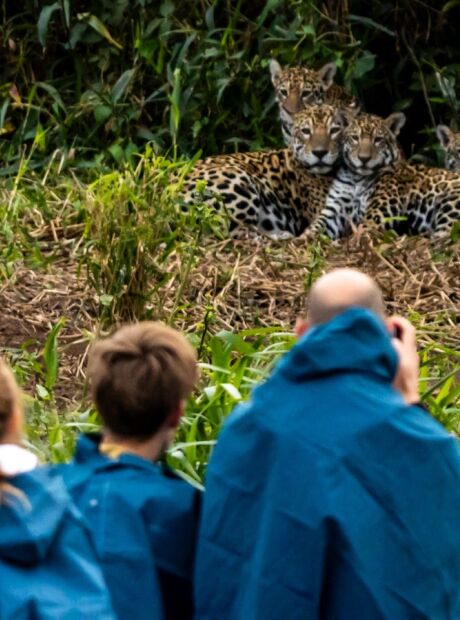 Confira as melhores dicas de passeio para conhecer o Pantanal de Corumb&aacute;