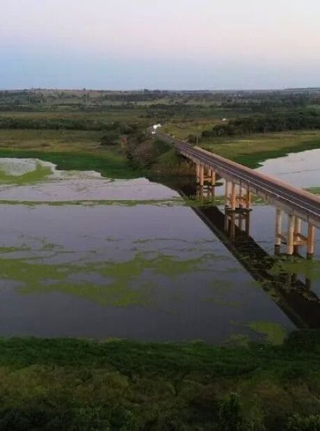 MP ignora polui&ccedil;&atilde;o da celulose e exige multa milion&aacute;ria a hidrel&eacute;trica