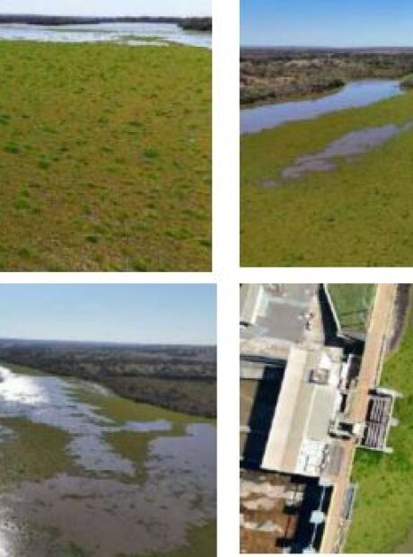 Imasul atrela plantas aqu&aacute;ticas do Mimoso a esgoto de megaf&aacute;brica