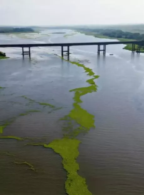 Polui&ccedil;&atilde;o da celulose come&ccedil;a a tomar conta do 3&ordm; maior lago do pa&iacute;s
