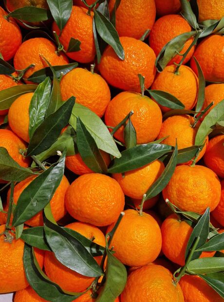 Nutricionista explica benef&iacute;cios do consumo da tangerina e ensina como escolher a fruta