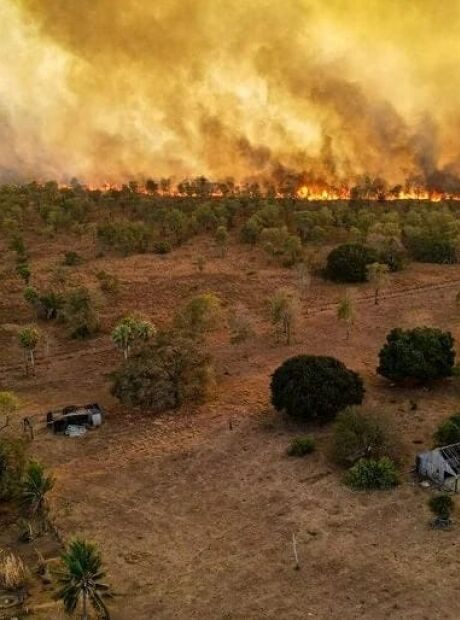 MPMS cria unidade para atuar em crimes ambientais e conflitos fundi&aacute;rios no Pantanal