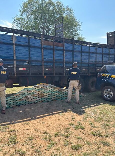 PRF apreende quase 200kg de coca&iacute;na em caminh&atilde;o de boi na fronteira com a Bol&iacute;via