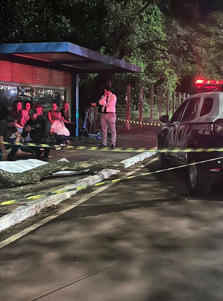 Mulher morre ao ser atingida por galho de &aacute;rvore no Parque dos Poderes