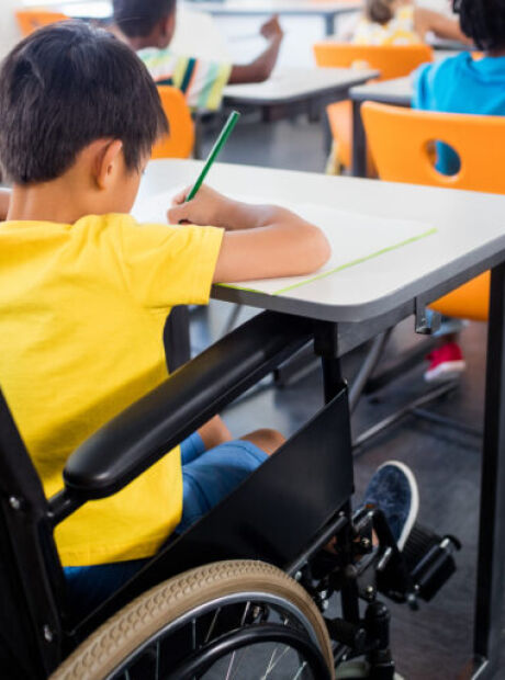 MS lidera ranking nacional de escolas com profissionais de apoio para alunos com defici&ecirc;ncia