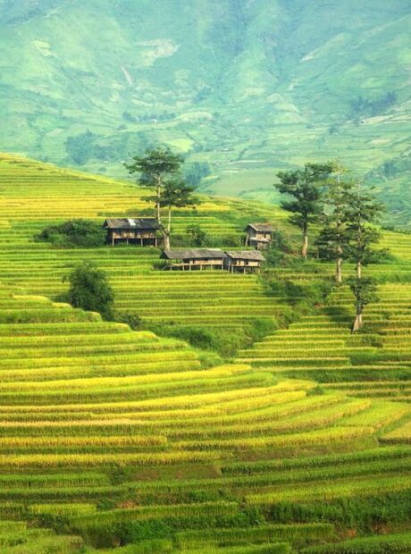 Enquanto a maior fazenda do Brasil tem 152 mil hectares, Europa pode ganhar pa&iacute;s de 27