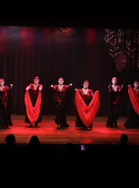 Grupo de 14 bailarinas de Campo Grande participa de festival de flamenco em SP