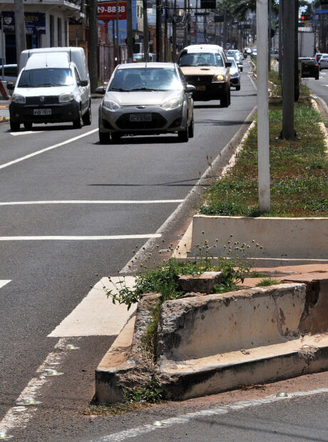 Prefeitura oficializa parceria para conserva&ccedil;&atilde;o de &aacute;reas p&uacute;blicas em Campo Grande