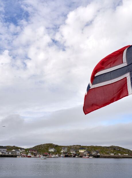Noruega oferece moradia gratuita a volunt&aacute;rios dispostos a trabalhar 5 horas por dia em fazenda