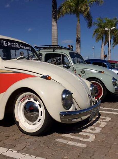 Evento prepara Campo Grande para o Dia Mundial do Fusca