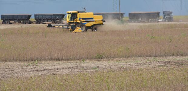 Agroneg&oacute;cio de Mato Grosso do Sul teve 10 empresas &agrave; beira da fal&ecirc;ncia em 2023
