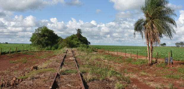 Após pressão, ANTT mantém ramal de Ponta Porã na licitação da Malha Oeste