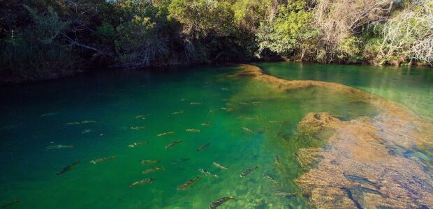 Balneário de Bonito reabre após interdição pelas chuvas