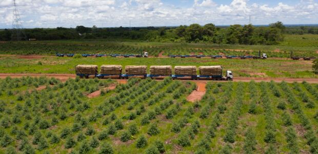 Governo federal autoriza circula&ccedil;&atilde;o de hexatrens de megaf&aacute;brica de celulose em MS