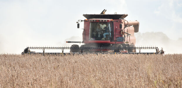 MS tem cinco cidades entre as maiores produtoras de soja do Brasil