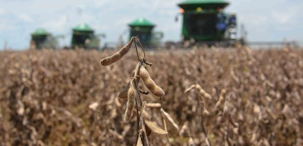 Previs&atilde;o de trimestre quente e seco pode impactar produ&ccedil;&atilde;o agr&iacute;cola no Estado