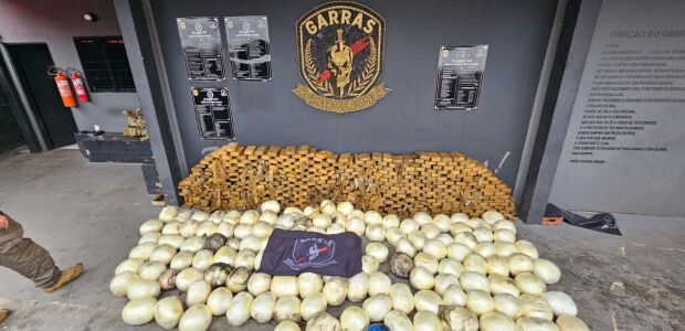 Garras faz apreens&atilde;o hist&oacute;rica de coca&iacute;na em Campo Grande