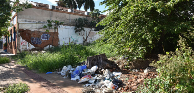 Em menos de 48h, aplicativo recebe mais de 230 den&uacute;ncias sobre terrenos baldios